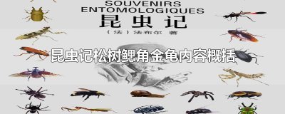​昆虫记松树鳃角金龟内容概括