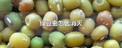 ​绿豆虫怎么消灭