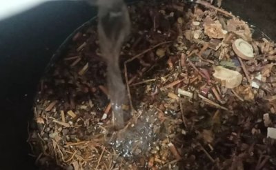 ​第四次全国中药资源普查发现至少196个新物种 对我国中医学有影响吗？