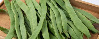 ​四季豆是什么