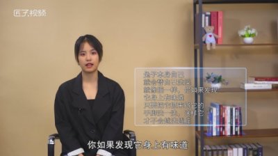 ​兔子可以洗澡吗