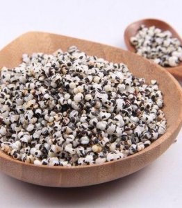 ​王不留行怎么吃下奶(王不留行怎样下奶)