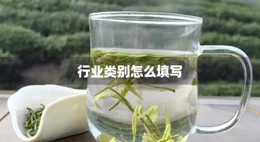 行业类别怎么填写