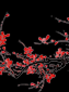 ​禹怎么读(龋怎么读)