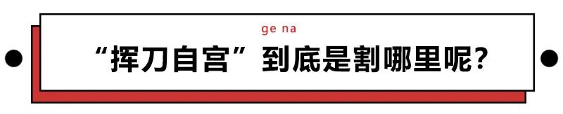 挥刀自宫是什么意思_欲练神功必先自宫是什么意思