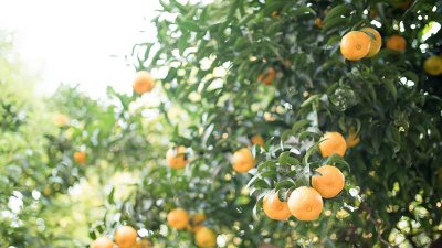 ​空气的作用有哪些