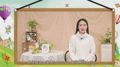 ​孔雀鱼温度多少合适