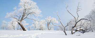 ​立冬吃饺子还是冬至吃饺子