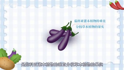 ​茄子可以生吃吗