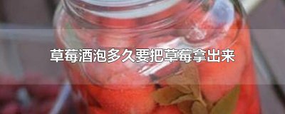 ​草莓酒泡多久要把草莓拿出来