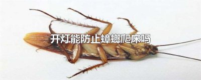 ​开灯能防止蟑螂爬床吗