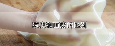 ​凉皮和面皮的区别