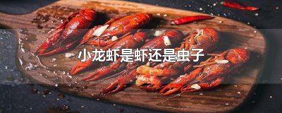 ​小龙虾是虾还是虫子