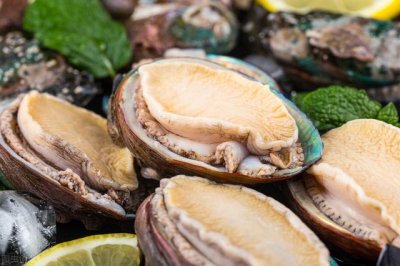 ​鲍鱼蒸几分钟能熟(鲍鱼蒸几分钟能熟?)