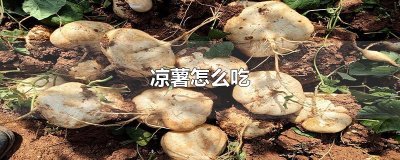 ​凉薯怎么吃
