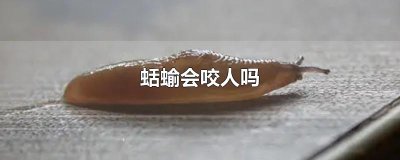 ​蛞蝓会咬人吗