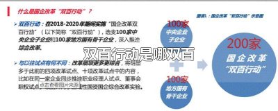​双百行动是哪双百