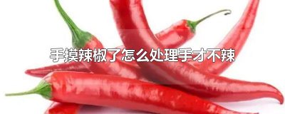 ​手摸辣椒了怎么处理手才不辣