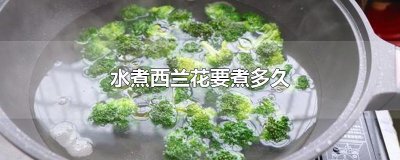 ​水煮西兰花要煮多久