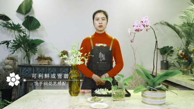 ​洗手间适合放什么花