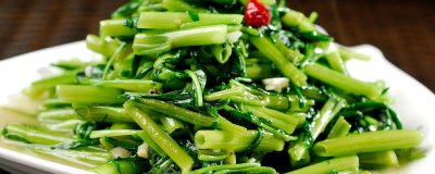 ​空心菜又叫什么菜