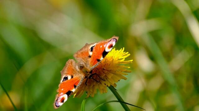 关于失眠朋友圈说说心情短语(图1)