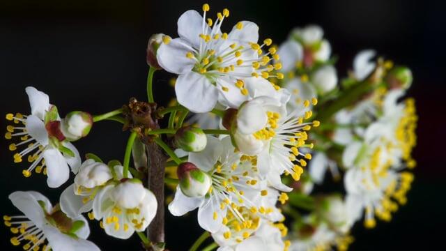 适合害怕打雷发朋友圈的句子(图3)