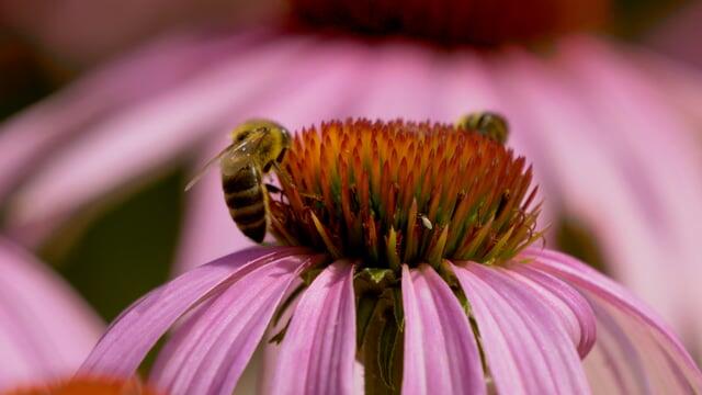 适合害怕打雷发朋友圈的句子(图2)