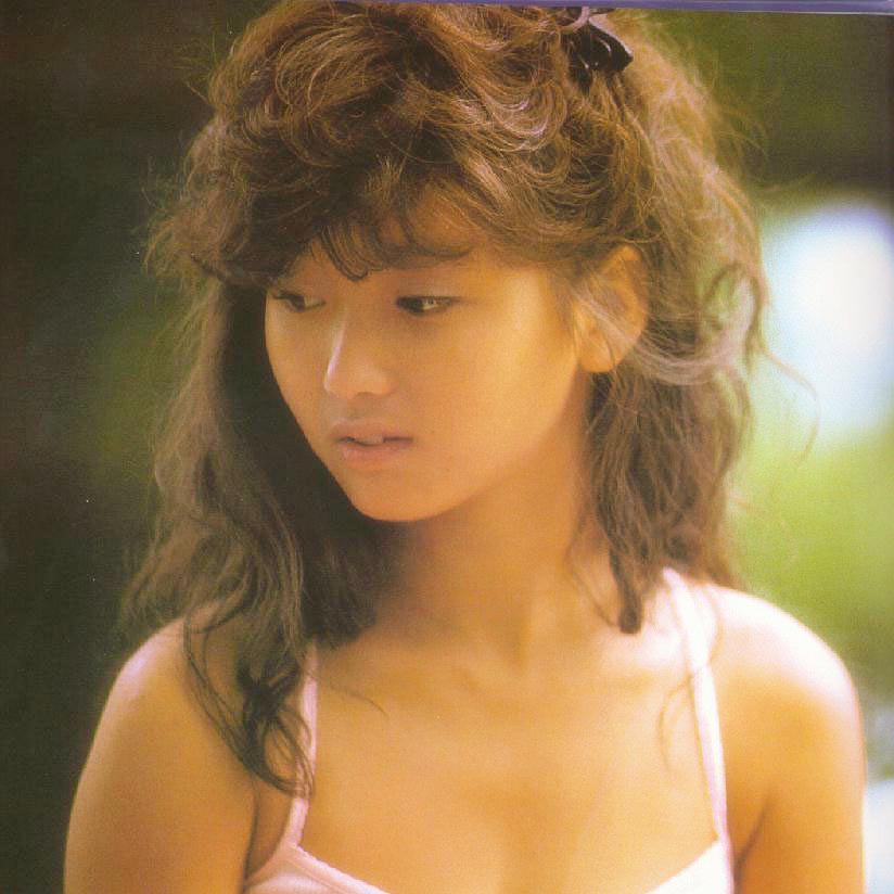 本田美奈子个人资料写真作品