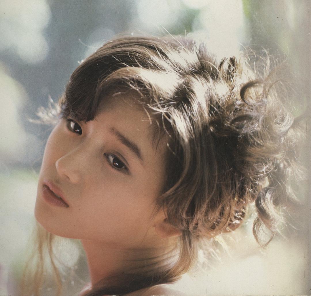 本田美奈子个人资料写真作品