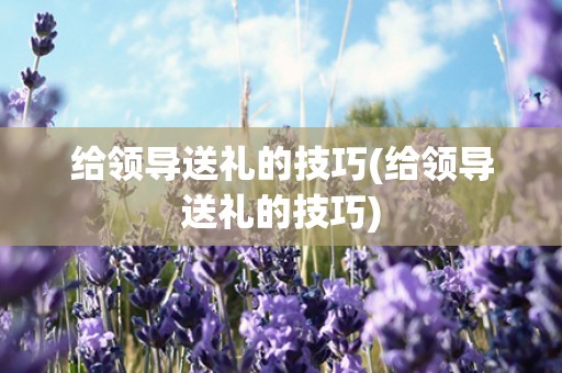 给领导送礼的技巧(给领导送礼的技巧) 给领导送礼的技巧(给领导送礼的技巧)