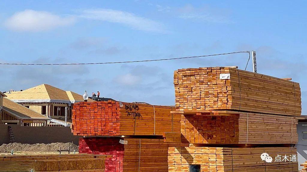 白松木方多少钱一方_木材价格九次下调