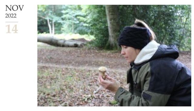 洗米华被批捕的原因是什么(那些艳惊四座玉兰油女孩现状如何)(21)