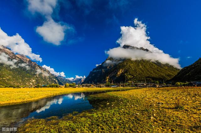 青稞是什么食物(高原雪域的宝贵营养食材)(3)
