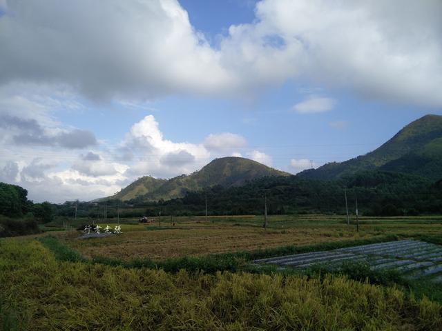 广西15天自由行旅游攻略(壮族三月三相约游广西)(12)