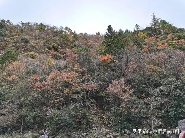 天堂寨旅游全攻略（天堂寨秋景值得一游）(29)