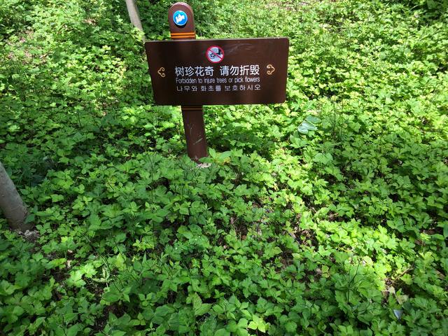 旅游天门山攻略（畅游天门山原创）(17)