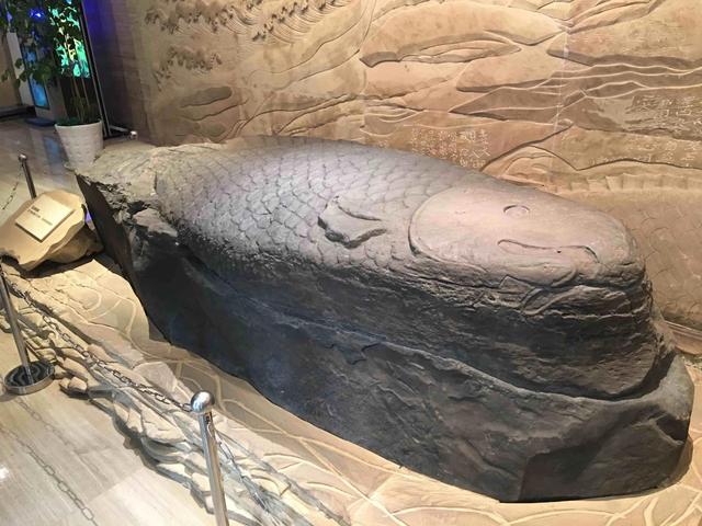 重庆市区必去的博物馆(这十个特色展览馆)(6)