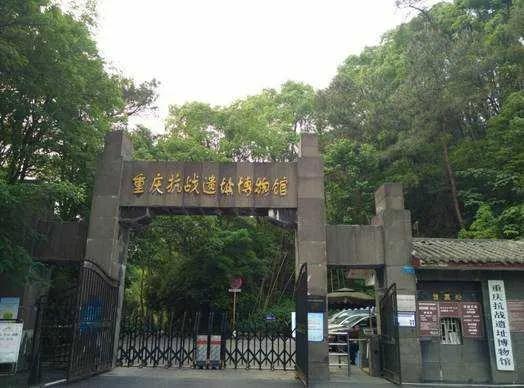 重庆市区必去的博物馆(这十个特色展览馆)(17)