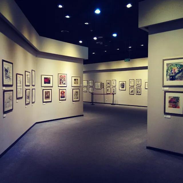 重庆市区必去的博物馆(这十个特色展览馆)(4)