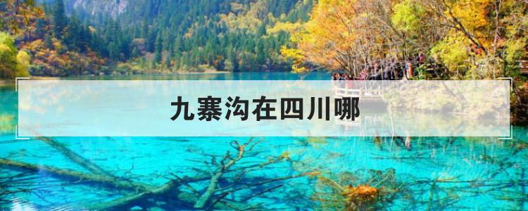 九寨沟在四川哪个城市,九寨沟属于哪个市