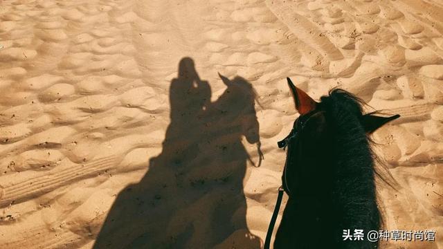 假期旅游攻略自由行(7个好看又好玩的假期旅游地)(63)