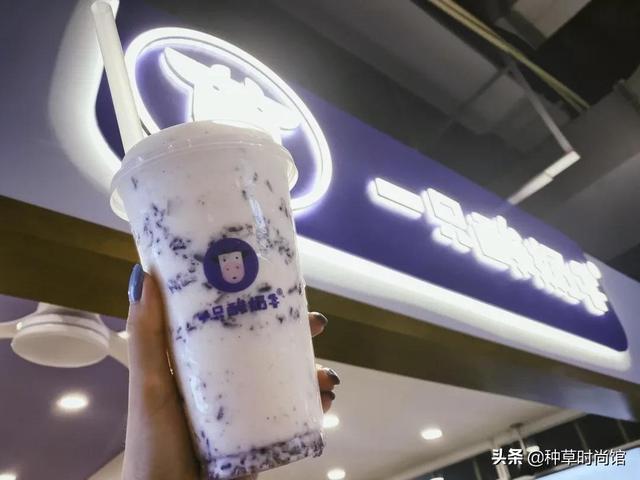 假期旅游攻略自由行(7个好看又好玩的假期旅游地)(84)