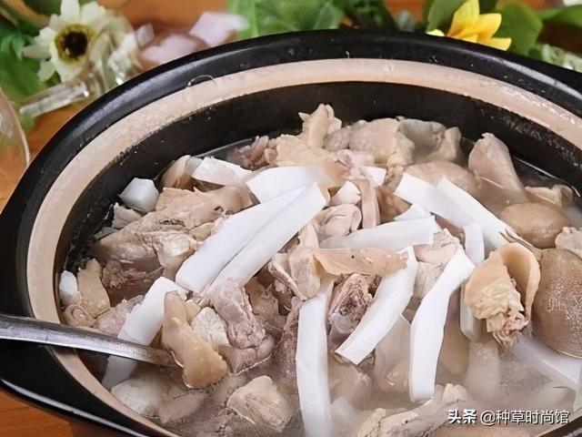 假期旅游攻略自由行(7个好看又好玩的假期旅游地)(18)