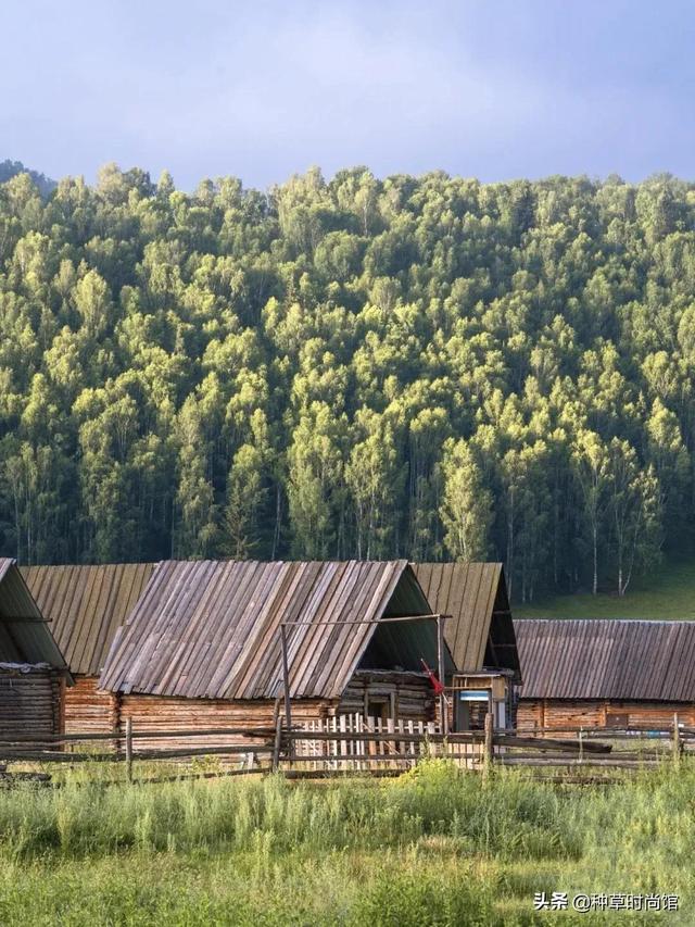 假期旅游攻略自由行(7个好看又好玩的假期旅游地)(28)