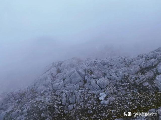 假期旅游攻略自由行(7个好看又好玩的假期旅游地)(50)