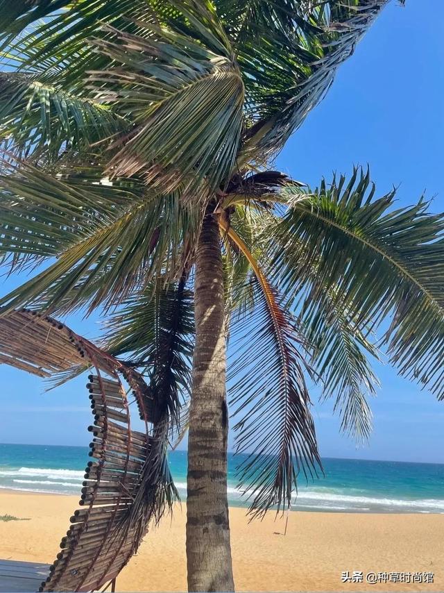 假期旅游攻略自由行(7个好看又好玩的假期旅游地)(2)