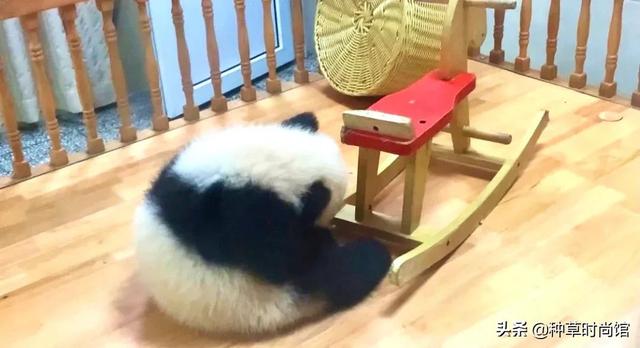 假期旅游攻略自由行(7个好看又好玩的假期旅游地)(122)