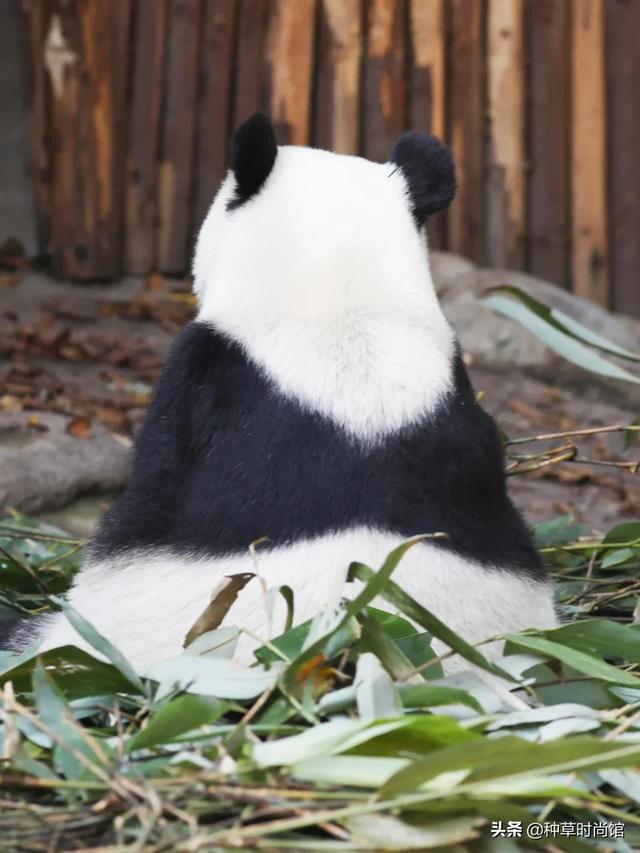 假期旅游攻略自由行(7个好看又好玩的假期旅游地)(121)