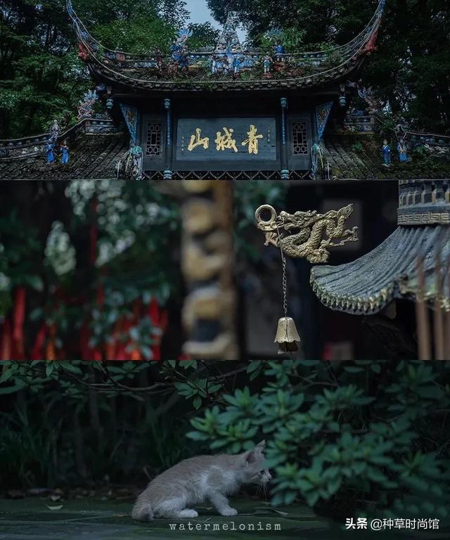 假期旅游攻略自由行(7个好看又好玩的假期旅游地)(127)